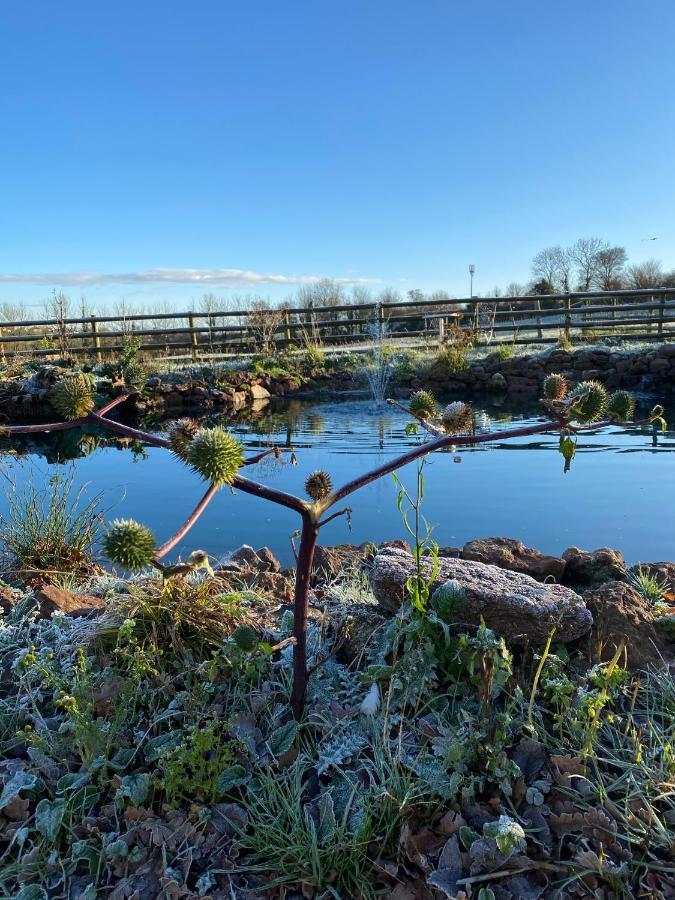 مبيت وإفطار بريدجواتر Greenway Farm المظهر الخارجي الصورة