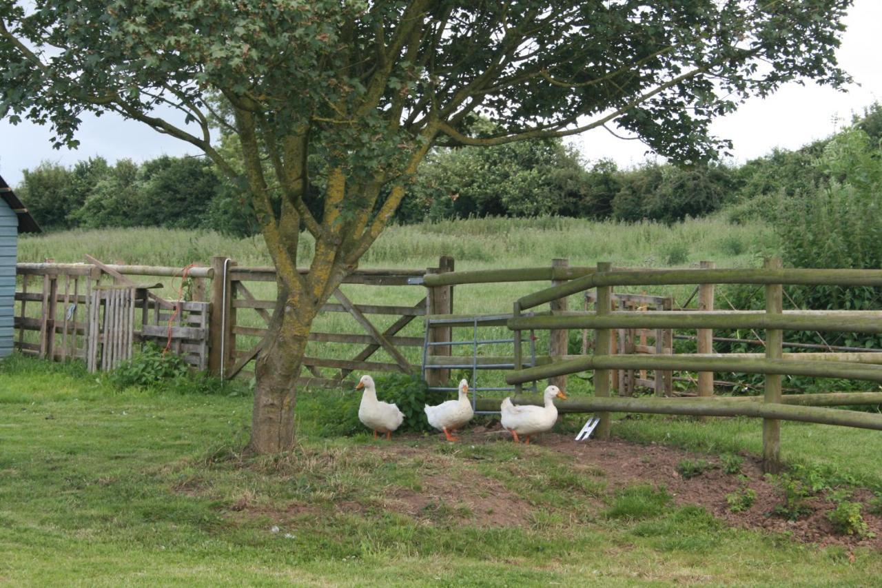 مبيت وإفطار بريدجواتر Greenway Farm المظهر الخارجي الصورة